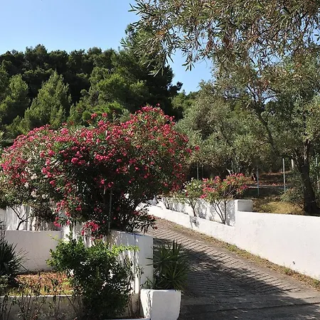 Otel Anamar Skiathos 4*