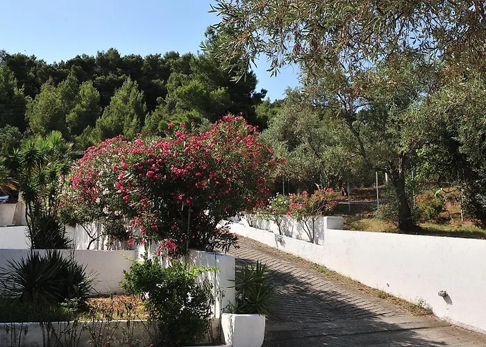 Otel Anamar Skiathos 4*